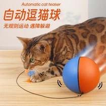 猫玩具猫咪电动逗猫球自嗨解闷神器电动小老鼠逗猫棒宠物用品大全