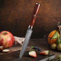 日本大马士革VG10牛刀不锈钢刀瓜果皮水果刀进口67层套装家用菜刀