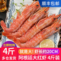 阿根廷红虾L1大红虾海鲜水产新鲜冷冻大虾超大特大鲜活冻海虾速冻