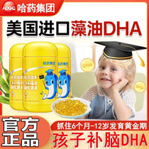 哈药 藻油dha婴幼儿专用海藻油 儿童dha藻油凝胶糖果 宝宝DHA藻油