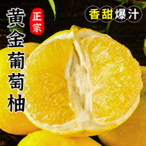 【胡鲜森】黄金爆汁葡萄柚2-8斤柚子新鲜水果当季黄心蜜柚整箱包