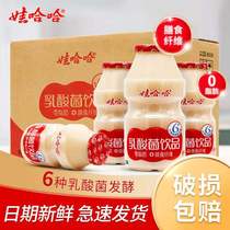 娃哈哈乳酸菌饮品100ml*40瓶益生菌儿童早餐牛奶酸奶饮料AD钙奶哇