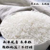 赵记臻谷十月稻田五常大米10kg稻花香2号香米东北大米家庭包袋装