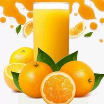 麦加德橙味风味固体饮料橙汁饮料粉果汁粉橙味饮料另售酸梅粉1Kg