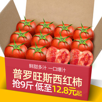 山东自然熟普罗旺斯生吃西红柿5-9斤新鲜沙瓤大番茄水果粉柿子
