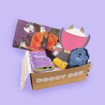 DoggyBox十月万圣节系列 狗狗宠物玩具套装套餐大礼包响纸玩