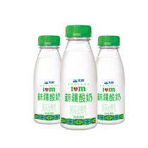 新疆天润酸奶风味发酵乳冷藏低温原味瓶装全脂245ml*8瓶新疆特产