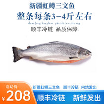 正宗新疆国产三文鱼整条4-6斤去内脏冰鲜三文鱼刺身新鲜日料寿司