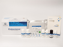 Elabscience®人白介素1β酶联免疫吸附测定试剂盒 E-EL-H0149c