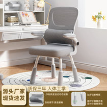 人体工学椅子学生学习椅电脑椅舒适久坐家用护腰书桌可升降办公椅