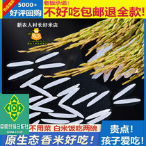 2023年原生态农家米新大米长粒香米软糯晚稻猫牙丝苗米油粘米农产