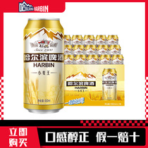 Harbin Beer/哈尔滨小麦王啤酒 经典哈啤黄啤450ml* 15听 整箱装