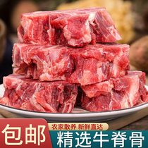 牛脊骨新鲜带肉牛蝎子牛脖骨满肉牛大骨头半成品商用整箱冷冻牛肉