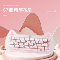 id67猫堆堆键盘67键客制化键位配列RGB灯双模蓝牙5.0办公女生新潮