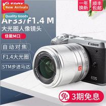 Canon EOSM 33mm 23mm 56mm F1.4 STM Micro SLR Lens Focus Larg
