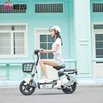 2023爱玛新国标电瓶车可带人小型女士代步电动自行车成人可带人长