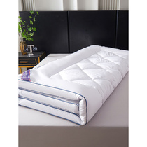 酒店床垫软垫家用可折叠1.5床褥子防滑床垫1.2米学生宿舍垫被铺q.