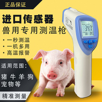 兽用体温枪红外电子测温仪猪牛羊体温器猫狗宠物动物精准测温仪