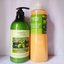 卡伊莲无硅油生姜橄榄茶籽控油去屑止痒护发素洗发水露套装正品
