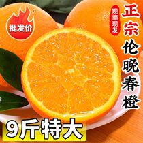 正宗伦晚脐橙9斤峡江香橙薄皮橙子新鲜手剥橙整箱甜橙水果包邮发