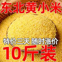 黄小米2022年米小米粥小黄米东北小米农家煮粥宝宝吃的米小米杂粮