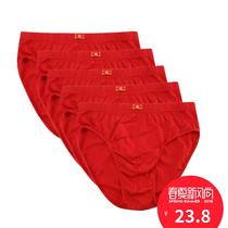 5条装红色内裤男士三角裤纯棉质面料青年中腰宽松大码运动底裤头