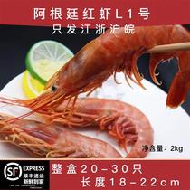 阿根廷红虾L1大号4斤船冻新鲜海虾进口大虾对虾原装南美虾2kg包邮