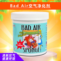 美国Bad Air Sponge空气净化剂室内装修去味汽车光触媒白宫除甲醛