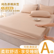 床笠单件防滑水洗棉床套罩2023新款床单全包席梦思床垫防尘保护罩