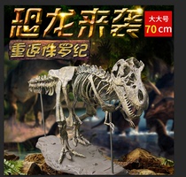 拼装恐龙化石组装玩具考古摆件64节骨架超大型70CM挖掘霸王龙涂鸦