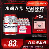 Budweiser/百威啤酒迷你啤酒255ml*24小罐装家庭聚会小酌女生官方