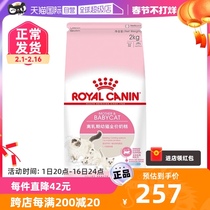 【自营】法国皇家进口1-4个月幼猫奶糕2kg/BK34*2包装宠物猫主粮