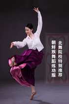 朝鲜族舞蹈练功服女成人演出服表演服上衣裙子套装基训民族民间舞