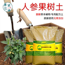 人参果树土盆栽种植专用土酸性土椰糠泥炭土壤通用种植营养土花肥