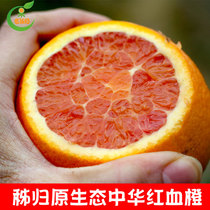 秭归中华红 血橙 新鲜现摘 红肉橙子 大果孕妇水果整箱大个包邮