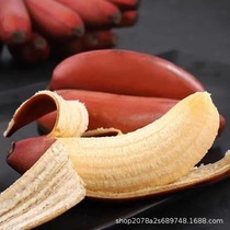 福建红美人香蕉5斤新鲜红皮香蕉水果美人蕉