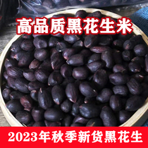 23年新货山东黑花生米 大粒带壳生5斤去壳新鲜紫黑皮农家种的晒干