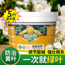 硫酸亚铁花肥料喜酸植物专用肥栀子花茉莉花柠檬树茶花肥酸性化肥