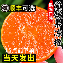 正宗爱媛38号果冻橙10四川水果新鲜当季整箱斤手剥柑橘甜橙大果5
