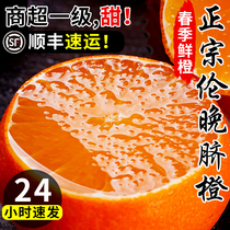 正宗伦晚脐橙10秭归橙子水果新鲜当季整箱斤果冻甜橙春橙冰糖奉节