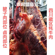 青藏高原牦牛肉 生牦牛肉 新鲜牦牛肉：牦牛腱子肉 5斤 顺丰快递