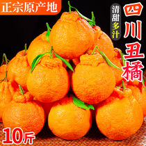 四川不知火丑橘10斤新鲜水果整箱应当季丑八怪粑粑桔子柑橘子耙耙