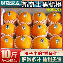 正宗黑标新奇士橙10斤新鲜橙子5当季孕妇水果进口大果礼盒3107橙9