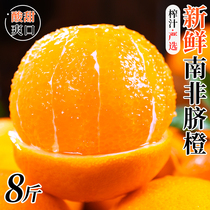 南非进口脐橙8斤橙子当季现摘新鲜水果手剥甜果冻橙大果整箱包邮