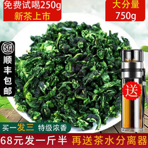 【发1.5斤】特级安溪铁观音茶叶 浓香型秋茶高山散装乌龙茶500g