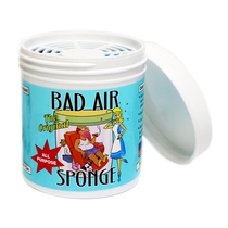 美国Bad Air Sponge空气净化剂白宫甲醛去除剂装修污染雾霾