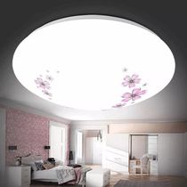 樱花茶花款LED吸顶灯卧室客厅室内走廊厨房厕所节能家用超亮包邮