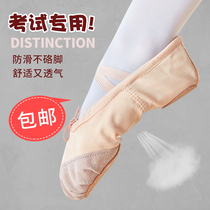 舞蹈鞋儿童女软底女童舞蹈专用成人练功鞋中国跳舞鞋芭蕾舞猫爪鞋