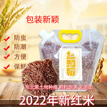 旭知稻红米东北农家红大米饭五谷杂粮米2023新红糙米粗粮米红香米
