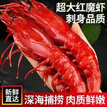 红魔虾鲜活超大刺身甜虾生腌海鲜水产非进口西班牙海鳌虾牡丹虾